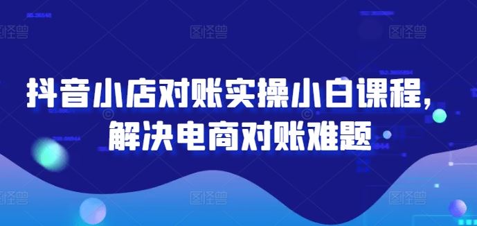 抖音小店对账实操小白课程，解决电商对账难题-天孤无涯网