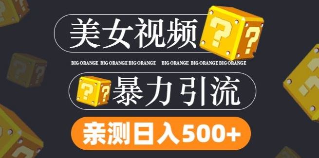 搬运tk美女视频全网分发，日引s粉300+，轻松变现，不限流量不封号【揭秘】-天孤无涯网