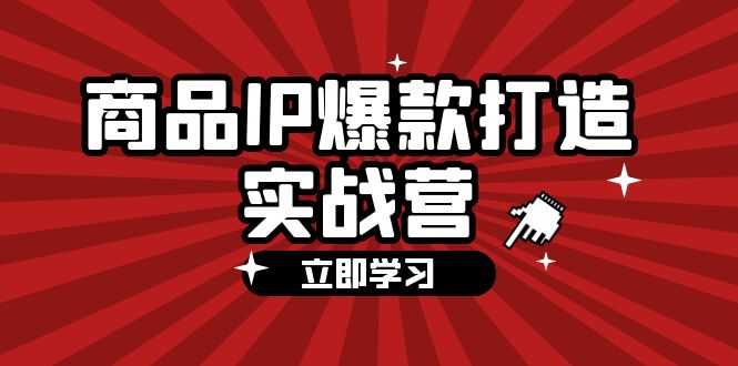 （12136期）商品-IP爆款打造实战营【第四期】，手把手教你打造商品IP，爆款 不断-天孤无涯网