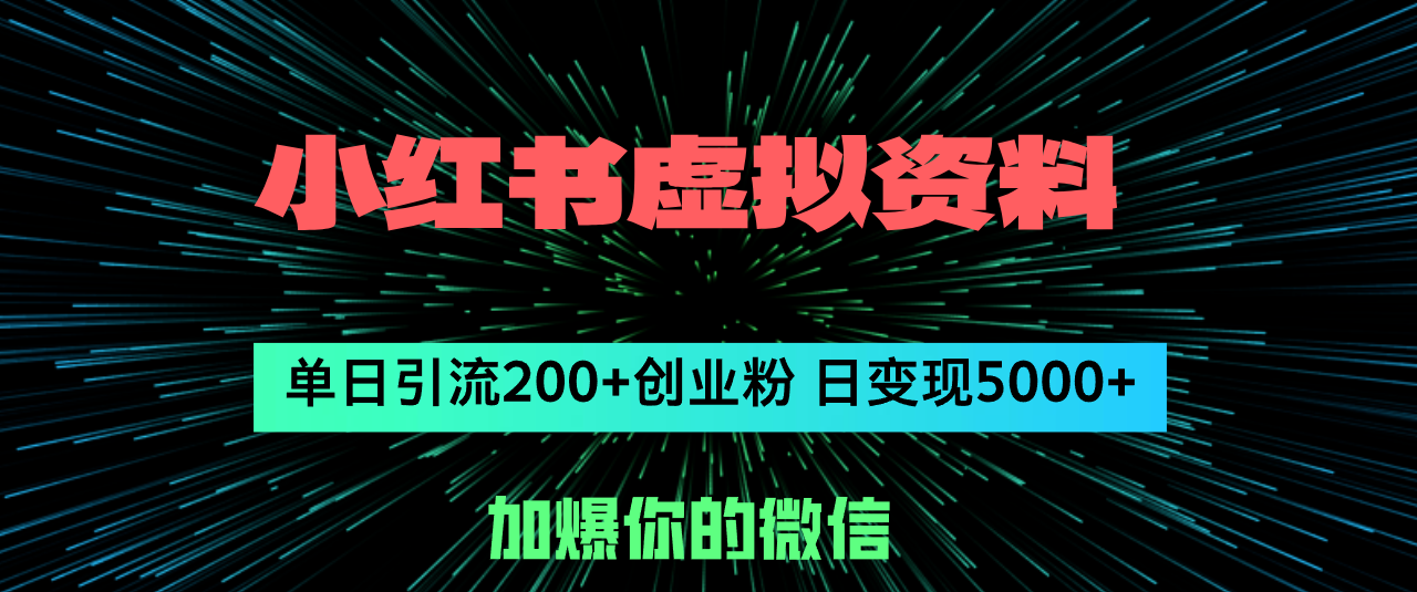 （12164期）小红书虚拟资料日引流200+创业粉，单日变现5000+-天孤无涯网