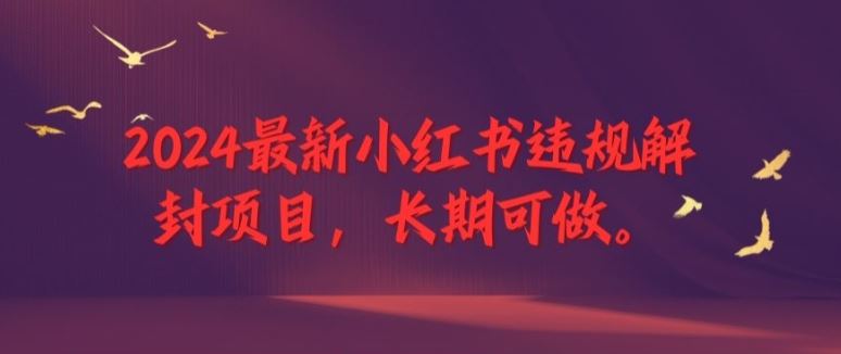 2024最新小红书违规解封项目，长期可做，一个可以做到退休的项目【揭秘】-天孤无涯网