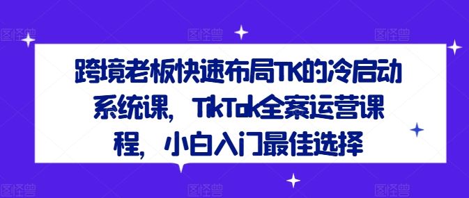 跨境老板快速布局TK的冷启动系统课，TikTok全案运营课程，小白入门最佳选择-天孤无涯网