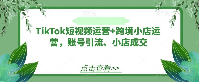 TikTok短视频运营+跨境小店运营，账号引流、小店成交-天孤无涯网