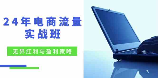 电商流量实战班：无界红利与盈利策略，终极提升/关键词优化/精准人群拓展/创新玩法-天孤无涯网
