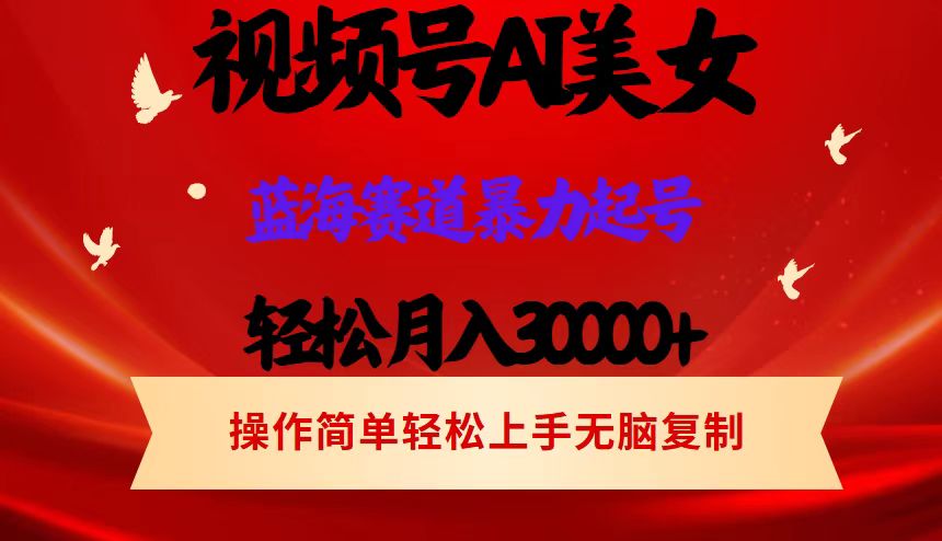 （12178期）视频号AI美女跳舞，轻松月入30000+，蓝海赛道，流量池巨大，起号猛，当…-天孤无涯网