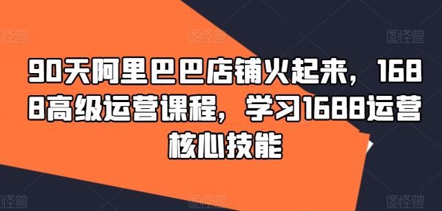 90天阿里巴巴店铺火起来，1688高级运营课程，学习1688运营核心技能-天孤无涯网