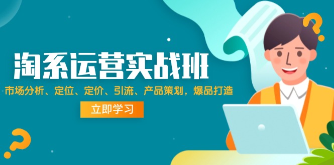 （12186期）淘系运营实战班：市场分析、定位、定价、引流、产品策划，爆品打造-天孤无涯网