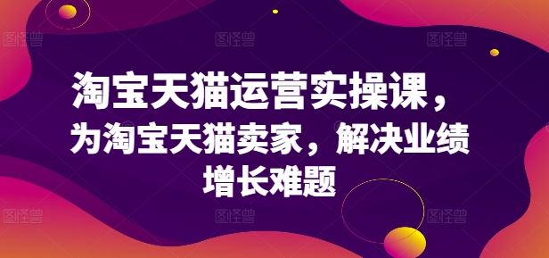 淘宝天猫运营实操课，为淘宝天猫卖家，解决业绩增长难题-天孤无涯网