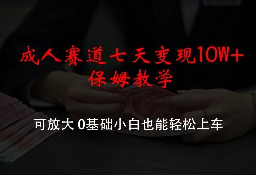 成人赛道七天变现10W+保姆教学，可放大，0基础小白也能轻松上车【揭秘】-天孤无涯网