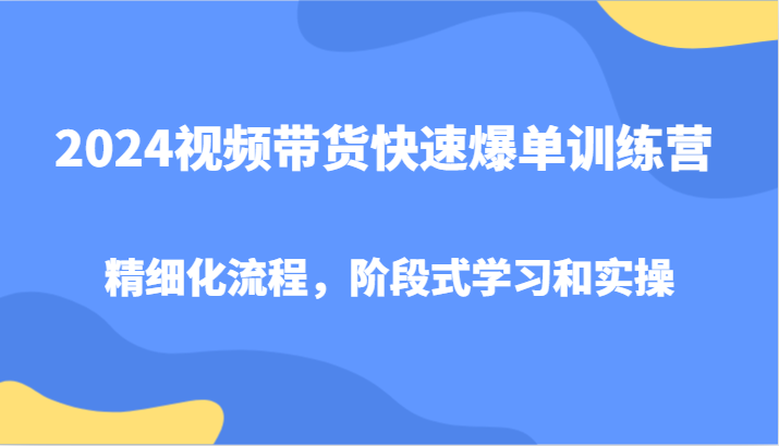 2024视频带货快速爆单训练营，精细化流程，阶段式学习和实操-天孤无涯网