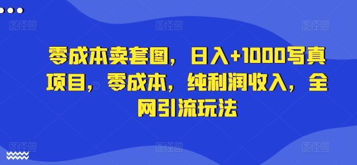 零成本卖套图，日入+1000写真项目，零成本，纯利润收入，全网引流玩法-天孤无涯网