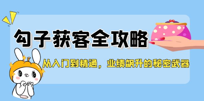 （12247期）从入门到精通，勾子获客全攻略，业绩飙升的秘密武器-天孤无涯网