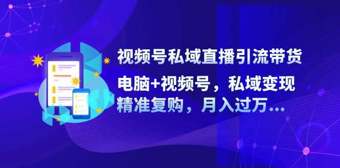 （12249期）视频号私域直播引流带货：电脑+视频号，私域变现，精准复购，月入过万…-天孤无涯网