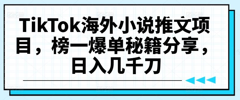 TikTok海外小说推文项目，榜一爆单秘籍分享，日入几千刀-天孤无涯网