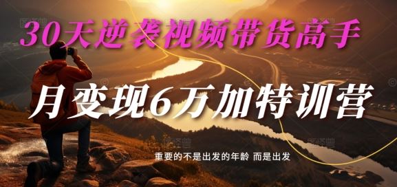 30天逆袭视频带货高手，单月变现6万加特训营-麦子甜-天孤无涯网