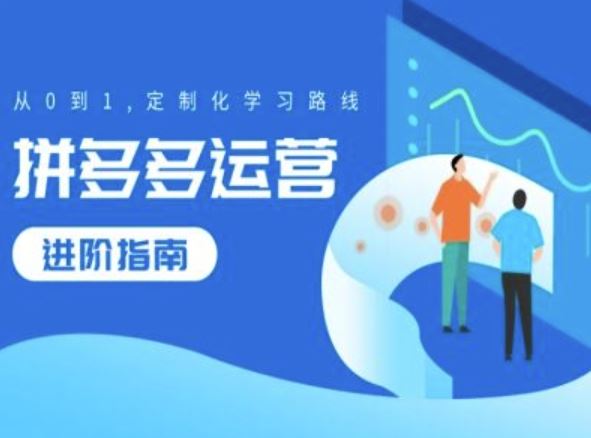 拼多多运营进阶指南，从0到1定制化学习路线-天孤无涯网