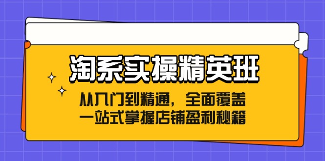 （12276期）淘系实操精英班：从入门到精通，全面覆盖，一站式掌握店铺盈利秘籍-天孤无涯网