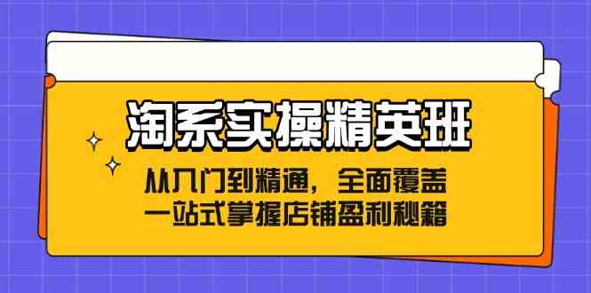 淘系实操精英班：从入门到精通，全面覆盖，一站式掌握店铺盈利秘籍-天孤无涯网