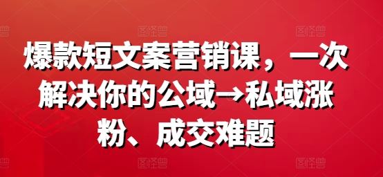 爆款短文案营销课，一次解决你的公域→私域涨粉、成交难题-天孤无涯网