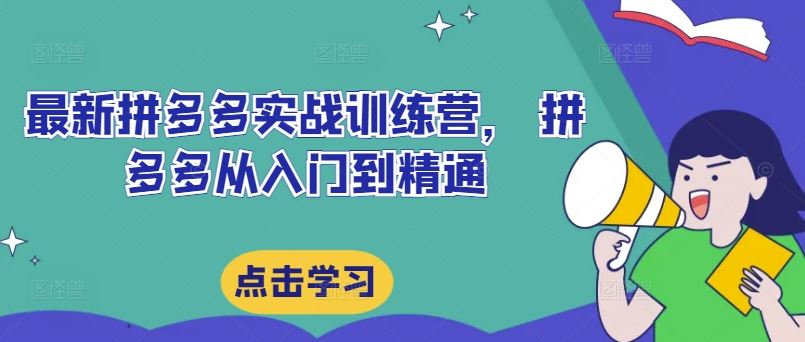 最新拼多多实战训练营， 拼多多从入门到精通-天孤无涯网