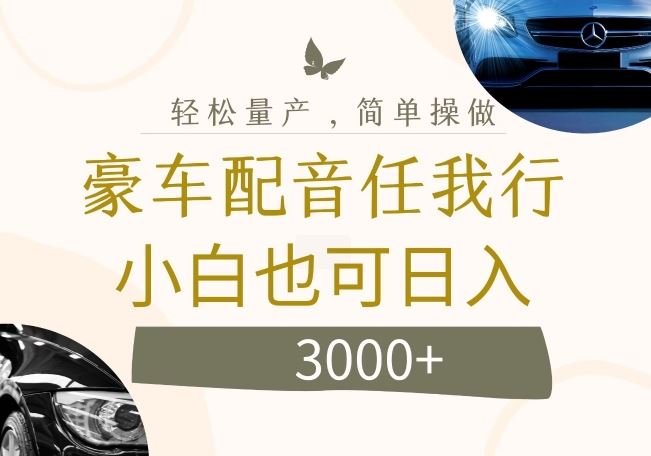 不为人知的暴力小项目，豪车配音，日入几张【揭秘】-天孤无涯网