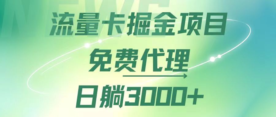 （12321期）流量卡掘金代理，日躺赚3000+，变现暴力，多种推广途径-天孤无涯网