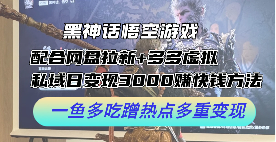 （12316期）黑神话悟空游戏配合网盘拉新+多多虚拟+私域日变现3000+赚快钱方法。…-天孤无涯网
