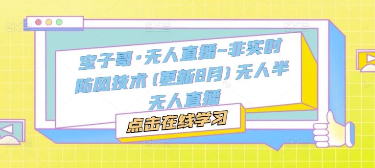 宝子哥·无人直播-非实时防风技术(更新8月)无人半无人直播-天孤无涯网