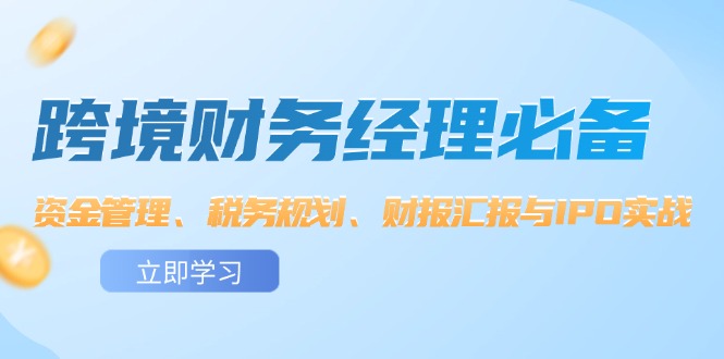 （12323期）跨境 财务经理必备：资金管理、税务规划、财报汇报与IPO实战-天孤无涯网