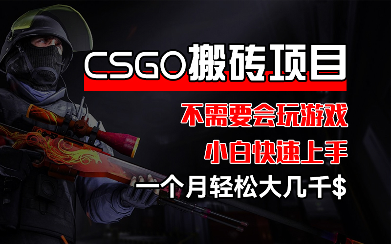 （12332期）CSGO 装备搬砖项目，操作简单，不需要会玩游戏，小白也能快速上手，一…-天孤无涯网