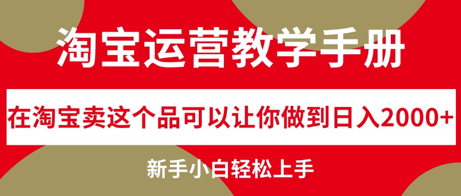 （12351期）淘宝运营教学手册，在淘宝卖这个品可以让你做到日入2000+，新手小白轻…-天孤无涯网