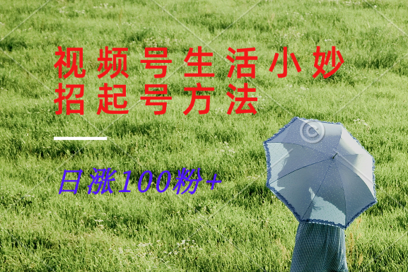 视频号生活小妙招分享赛道， 起号涨粉新方法，日涨100粉-天孤无涯网