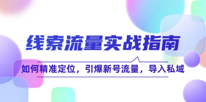（12382期）线 索 流 量-实战指南：如何精准定位，引爆新号流量，导入私域-天孤无涯网