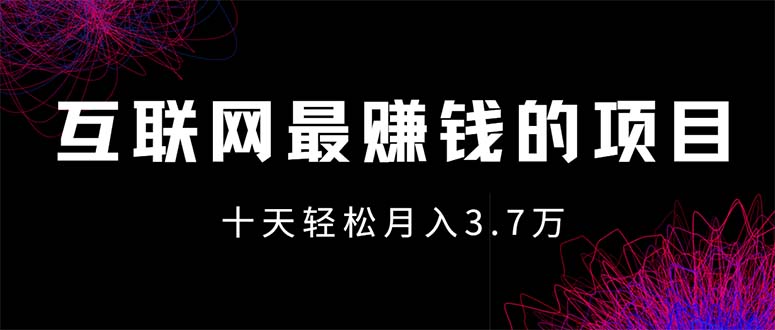 （12396期）互联网最赚钱的项目没有之一，轻松月入7万+，团队最新项目-天孤无涯网