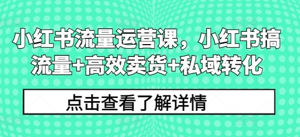 小红书流量运营课，小红书搞流量+高效卖货+私域转化-天孤无涯网