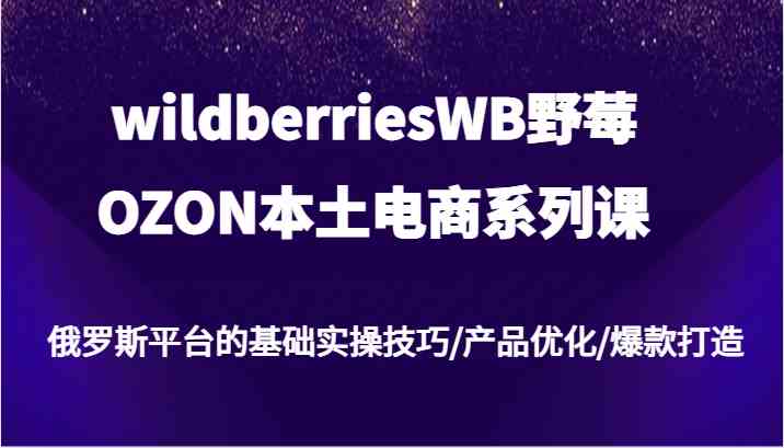 wildberriesWB野莓/OZON本土电商系列课，俄罗斯平台的基础实操技巧/产品优化/爆款打造-天孤无涯网