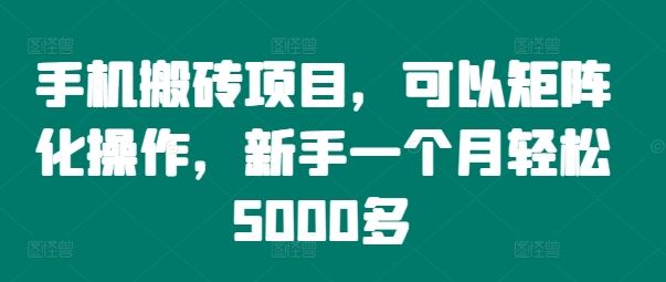 手机搬砖项目，可以矩阵化操作，新手一个月轻松5000多-天孤无涯网