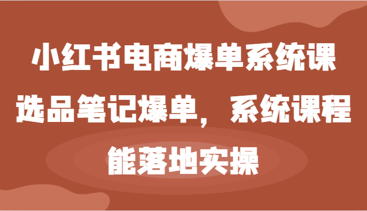 小红书电商爆单系统课-选品笔记爆单，系统课程，能落地实操-天孤无涯网