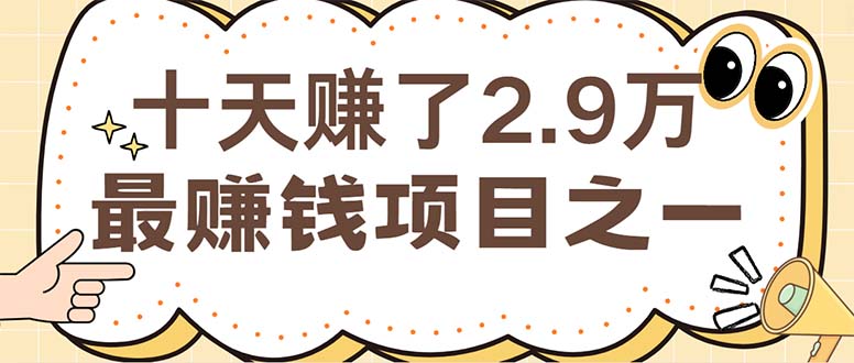 （12491期）闲鱼小红书赚钱项目之一，轻松月入6万+项目-天孤无涯网