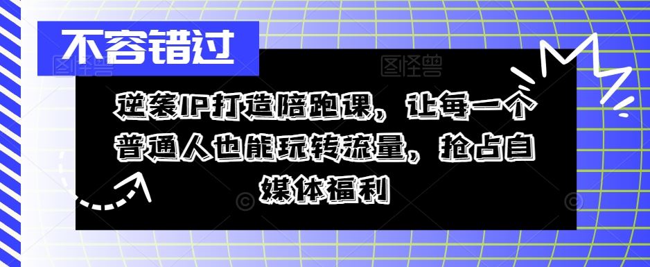 逆袭IP打造陪跑课，让每一个普通人也能玩转流量，抢占自媒体福利-天孤无涯网
