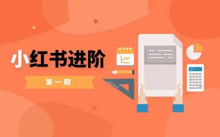 小红书进阶篇，零基础小白实战课，普通人变现的课程-天孤无涯网