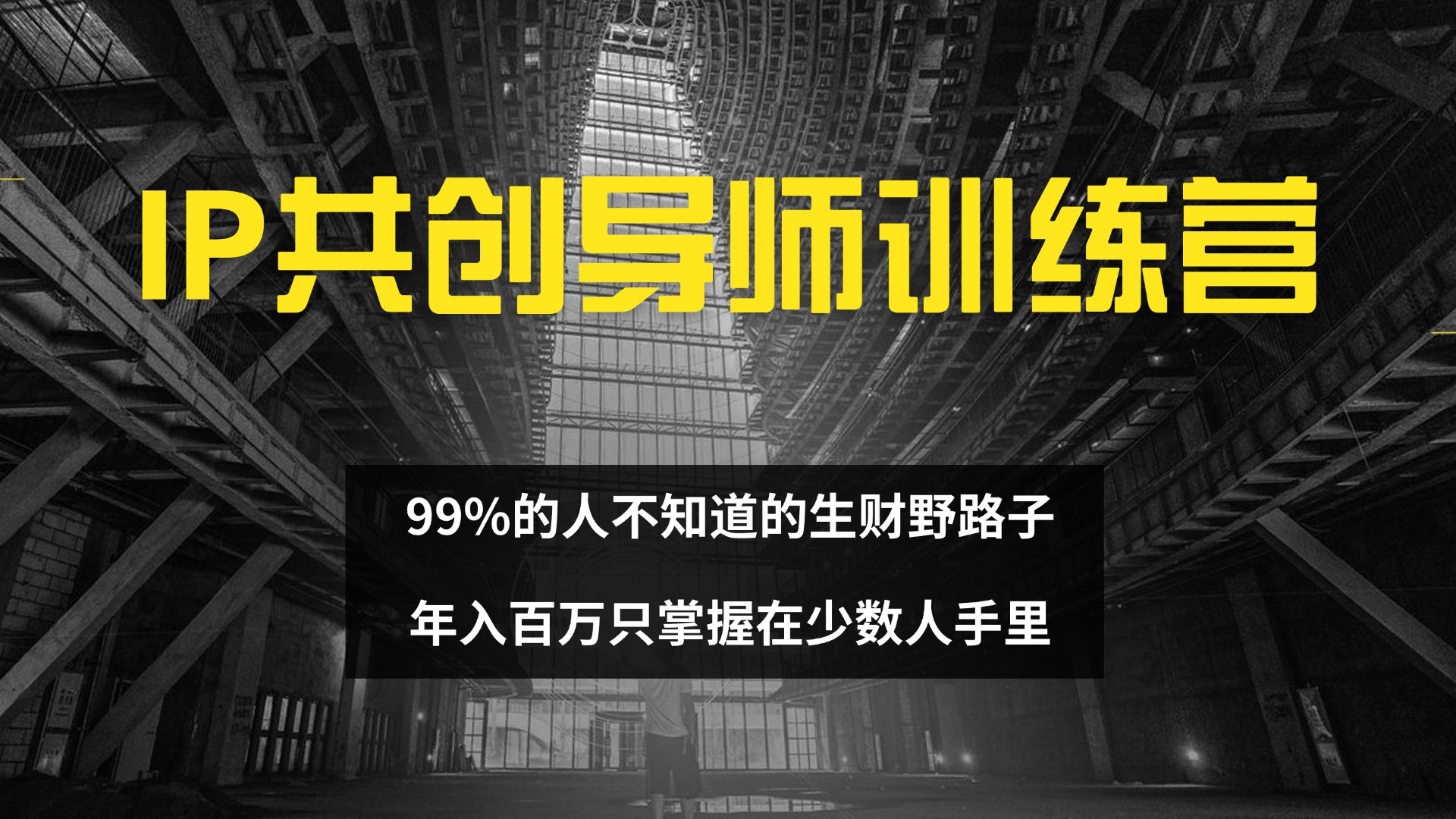 （12504期）IP共创导师训练营 99%的人不知道的生财野路子 只掌握在少数人手里-天孤无涯网
