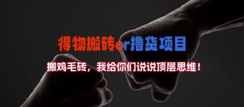 得物搬砖撸货项目?掰下数据，我给你们说说顶层思维【揭秘】-天孤无涯网