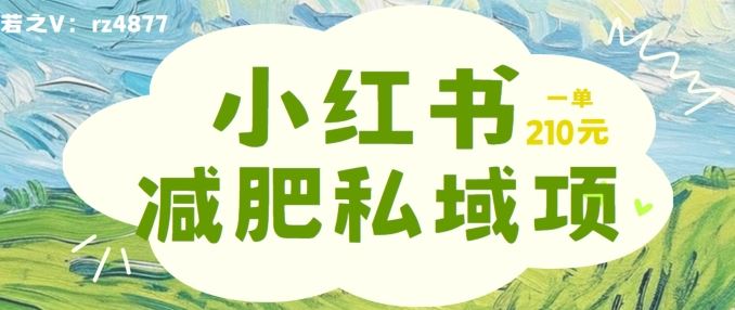 小红书减肥粉，私域变现项目，一单就达210元，小白也能轻松上手【揭秘】-天孤无涯网