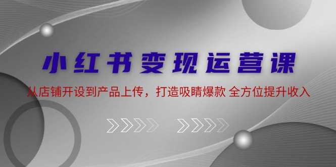 （12520期）小红书变现运营课：从店铺开设到产品上传，打造吸睛爆款 全方位提升收入-天孤无涯网