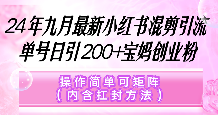 （12530期）小红书混剪引流，单号日引200+宝妈创业粉，操作简单可矩阵（内含扛封…-天孤无涯网