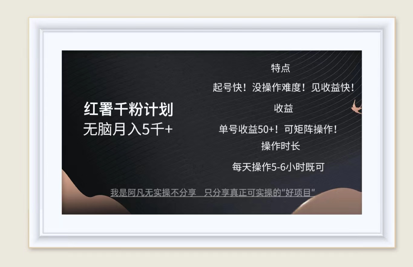 （12560期）红薯千粉计划无脑月入5千+！既做既赚！-天孤无涯网