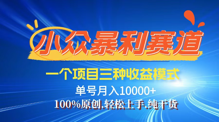 （12579期）【老人言】-视频号爆火赛道，三种变现方式，0粉新号调调爆款-天孤无涯网