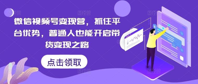 微信视频号变现营，抓住平台优势，普通人也能开启带货变现之路-天孤无涯网