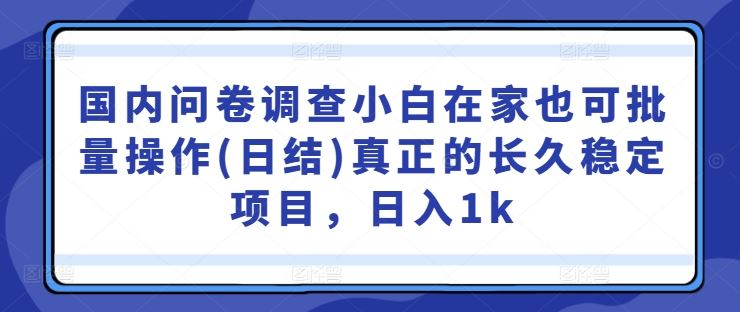 国内问卷调查小白在家也可批量操作(日结)真正的长久稳定项目，日入1k【揭秘】-天孤无涯网